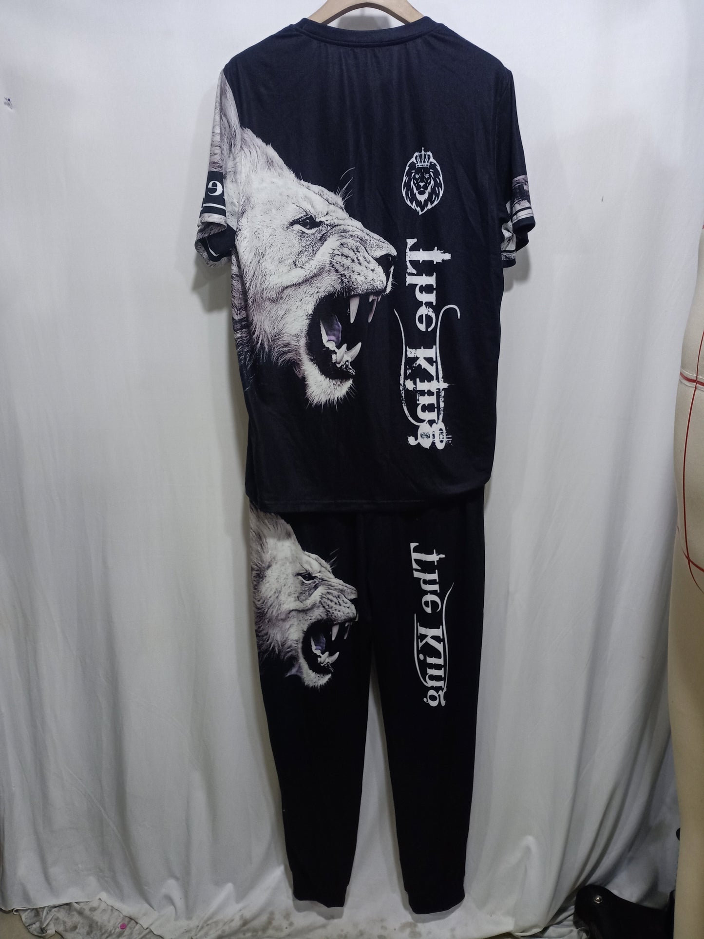 Men's 3D Lion Print Activewear Set, Tee & Pants